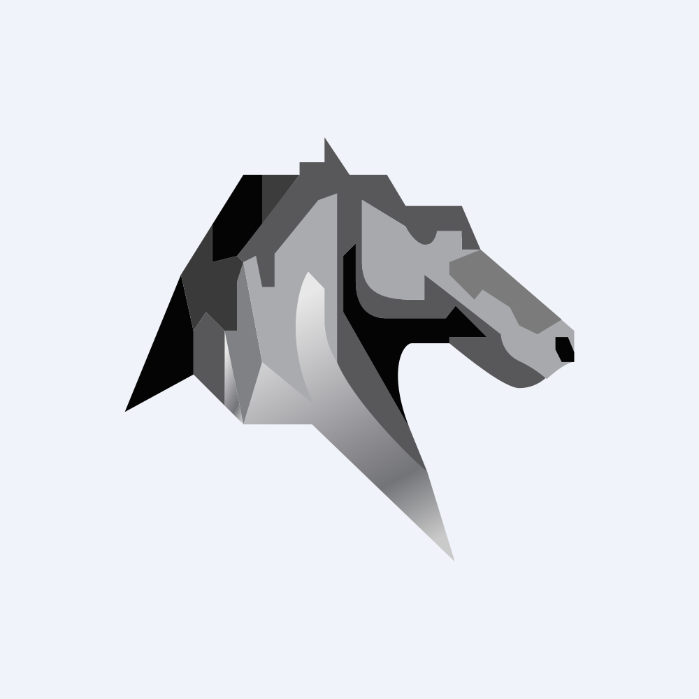 BAYHORSE SILVER INC.