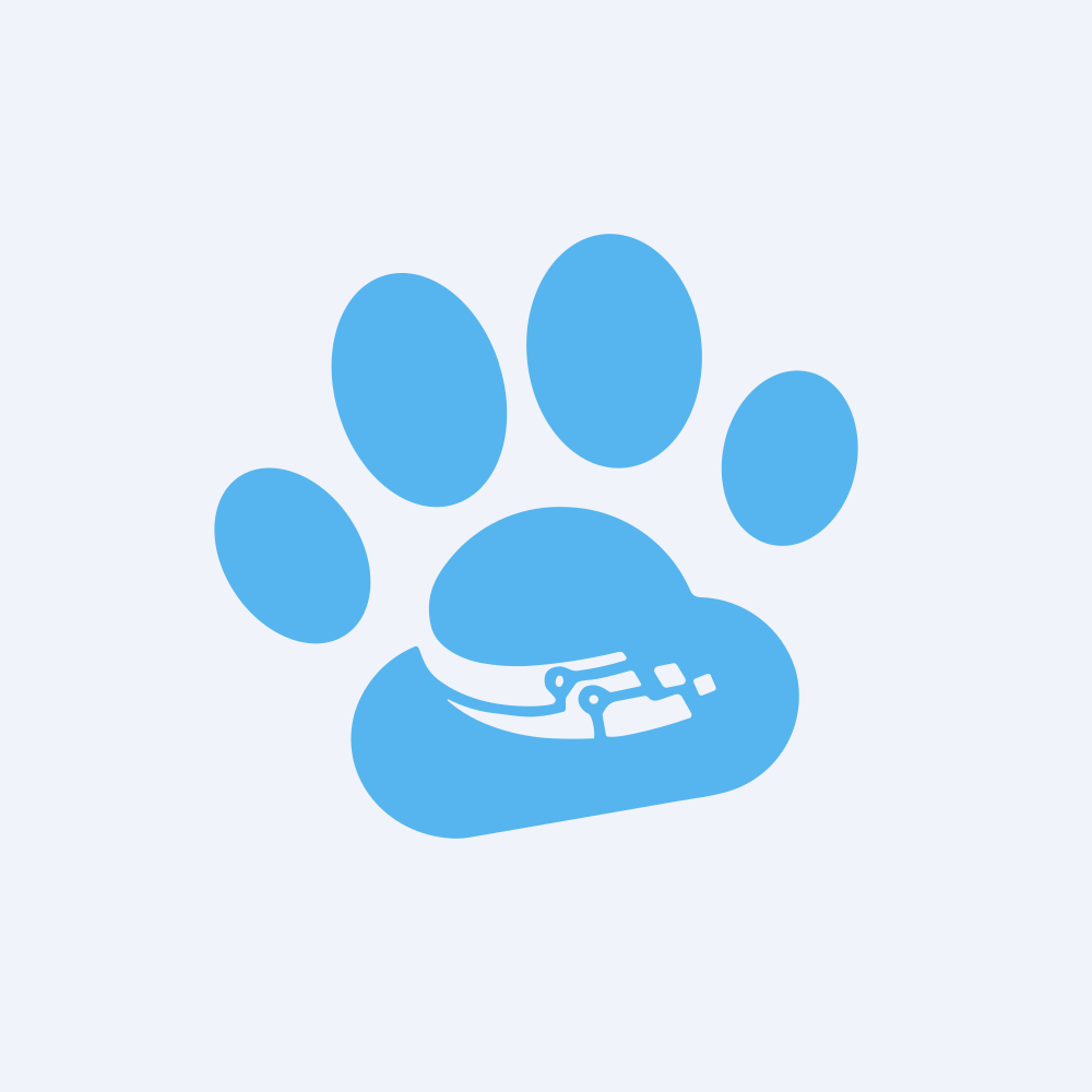 ChowChow Cloud International Holdings Ltd