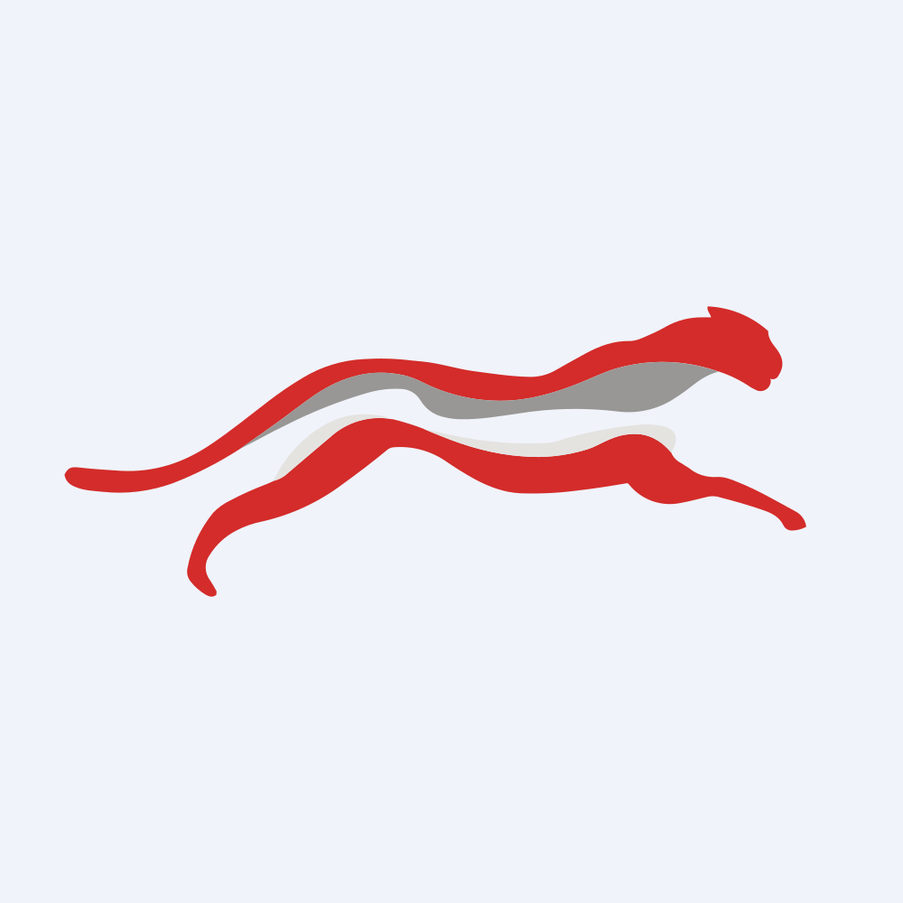 CHEETAH NET SUPPLY CHAIN SERVICE INC.