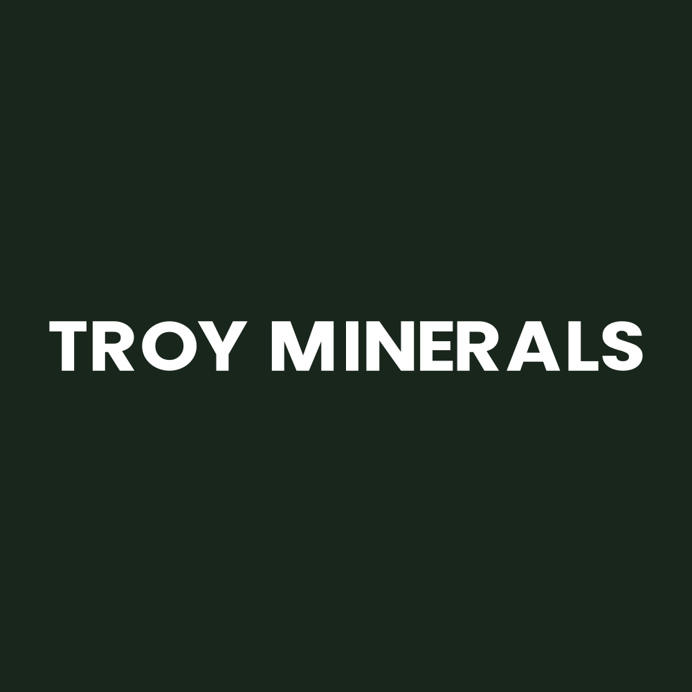 Meta Critical Minerals Inc.