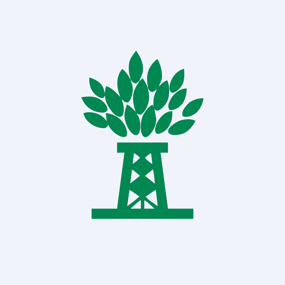 NPK International Inc. logo