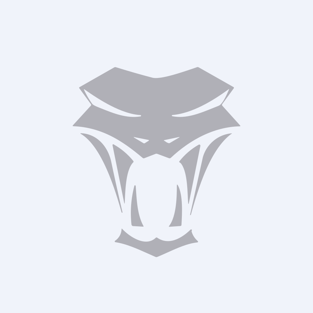 SILVER VIPER MINERALS CORP.